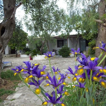 B&B Masseria Liberatore Mattinata Esterno foto