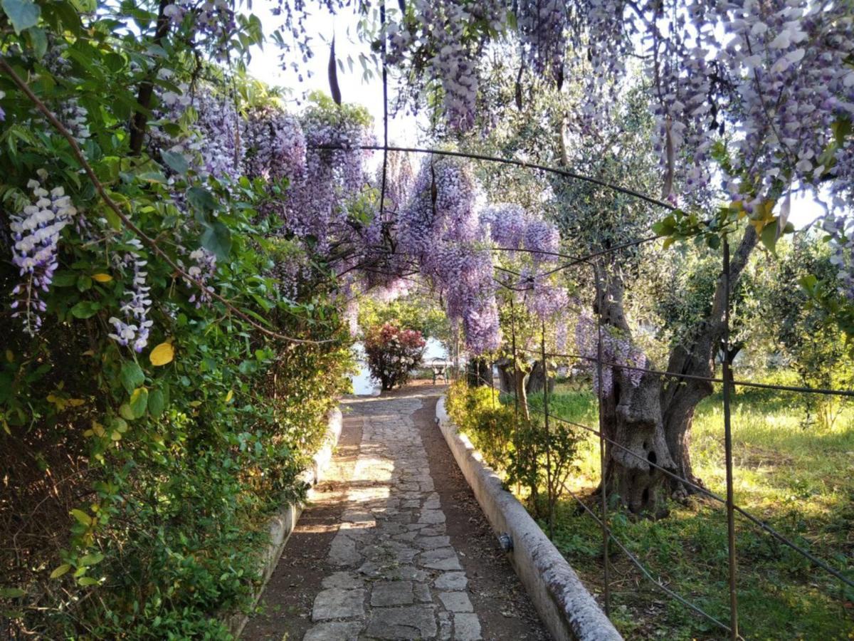 B&B Masseria Liberatore Mattinata Esterno foto