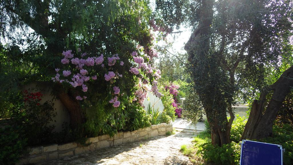 B&B Masseria Liberatore Mattinata Esterno foto