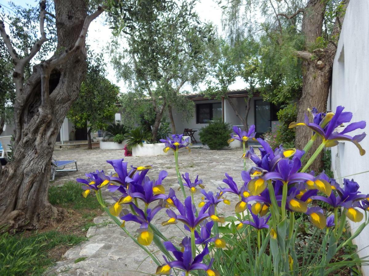 B&B Masseria Liberatore Mattinata Esterno foto
