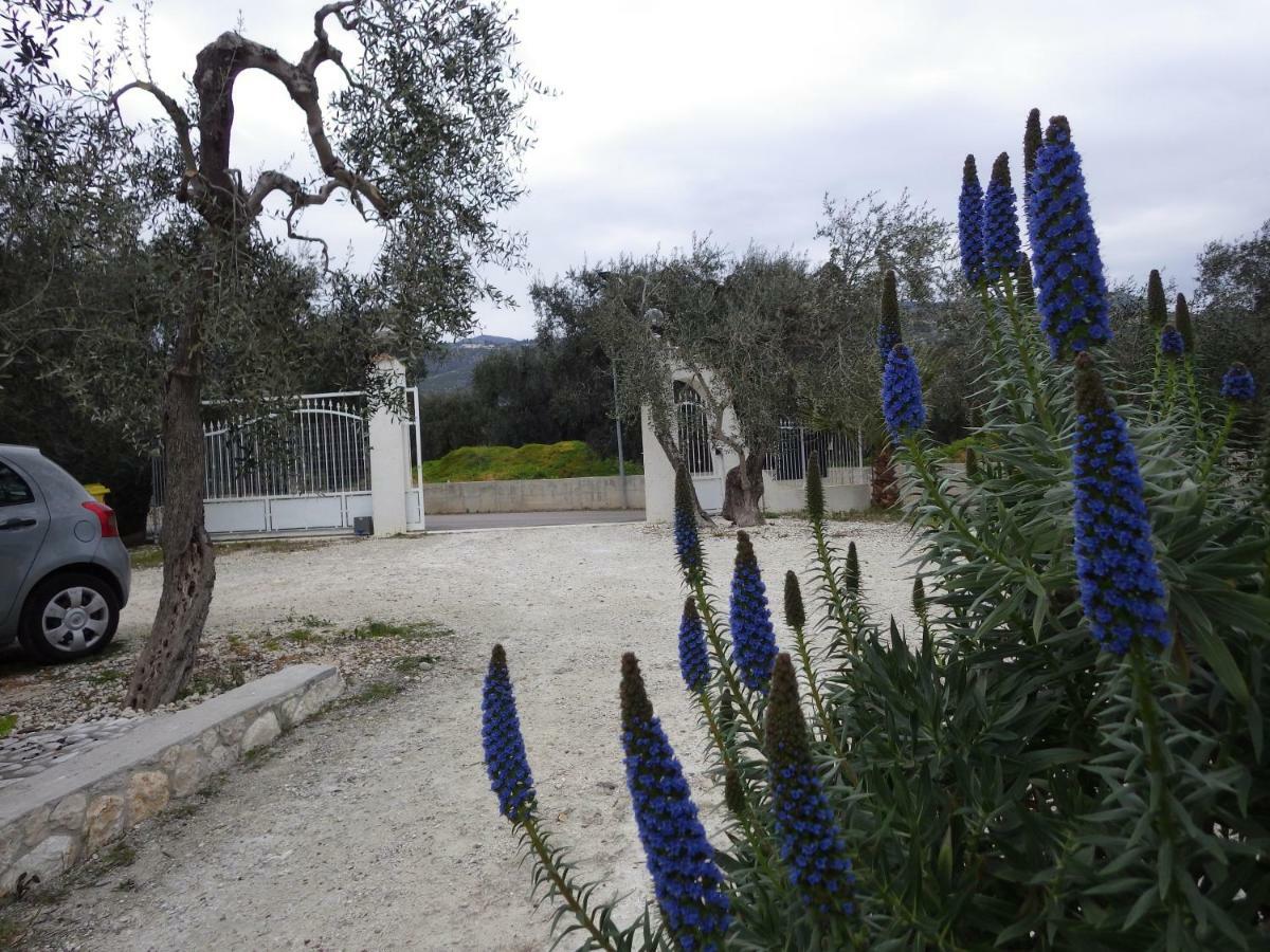 B&B Masseria Liberatore Mattinata Esterno foto