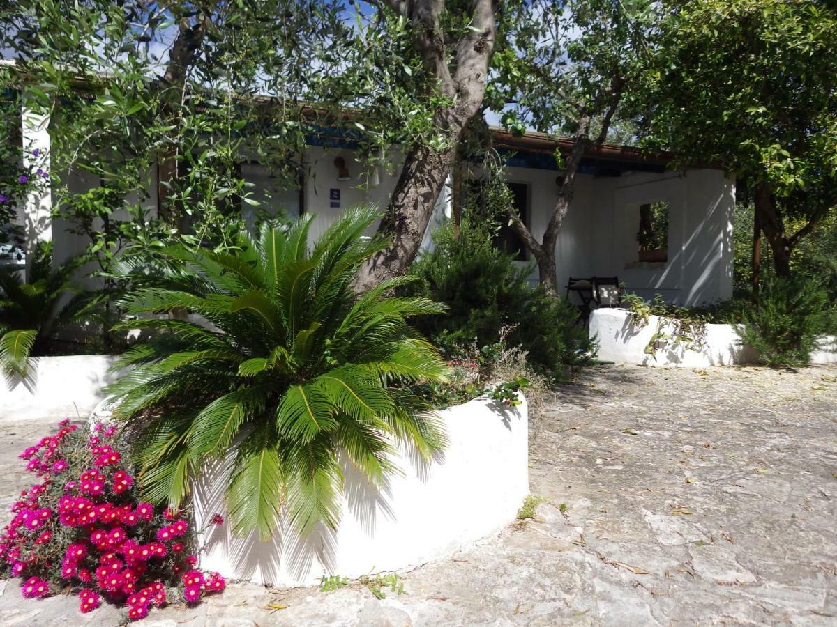 B&B Masseria Liberatore Mattinata Esterno foto